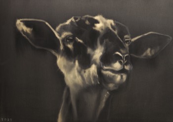  toby,60x40 cm,ink-acrylic 