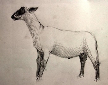  mouton 8 
