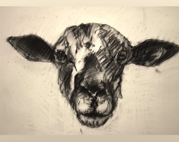  mouton 30 