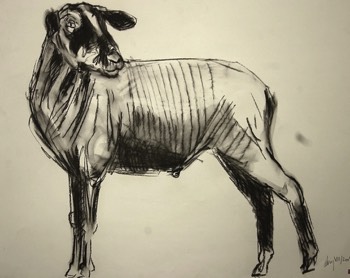  mouton 32 