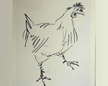  poule 19 